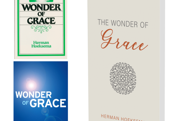 Wonder of Grace Study Guide NOW AVAILABLE!