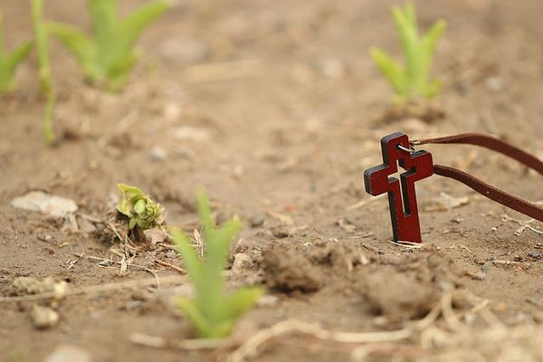 "Incorporating us into the fellowship of his death and resurrection"