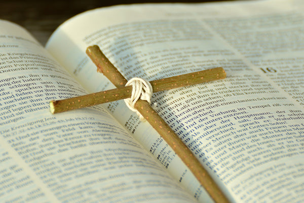The Bereans' Noble Reception of the Word: What they Received