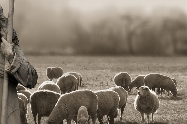 Family Visitation: Scriptural Basis and Spiritual Nature of Family Visiting