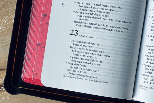 SB July Sneak Peek - The Proper Method of Biblical Interpretation