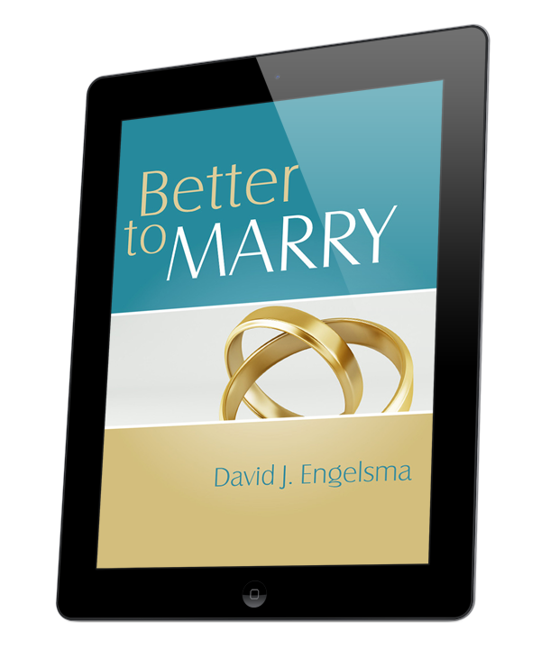 Better to Marry, Sex and Marriage in 1 Corinthians 6 and 7 (ebook)