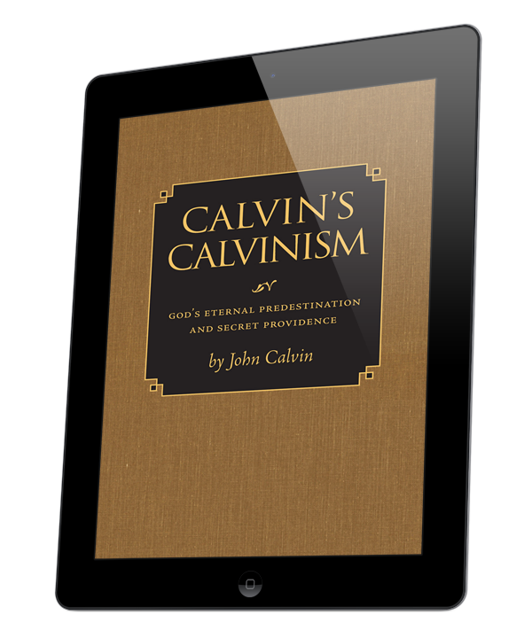 Calvin's Calvinism (ebook)