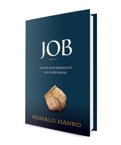Book Review - Job: God's Sovereignty in Suffering