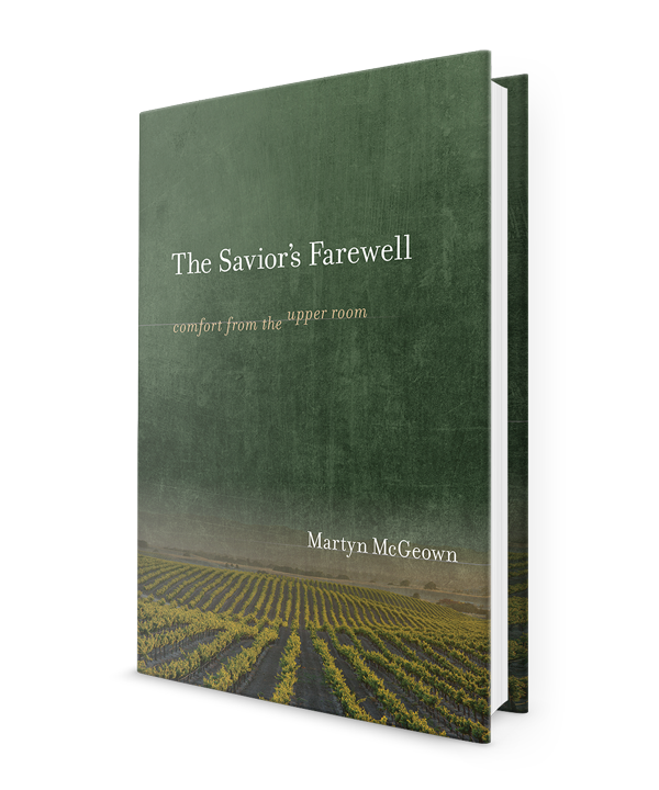 Book Review - The Savior's Farewell