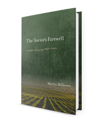 Book Review - The Savior's Farewell