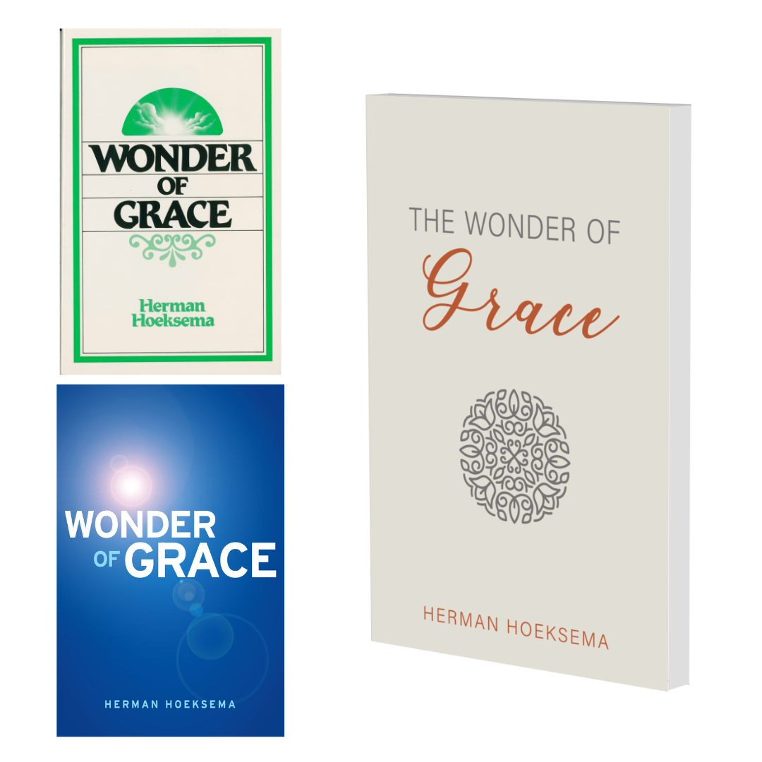 Wonder of Grace Study Guide NOW AVAILABLE!