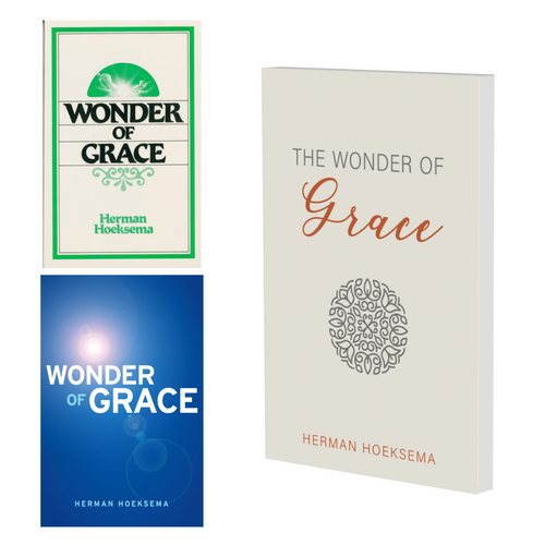 Wonder of Grace Study Guide NOW AVAILABLE!