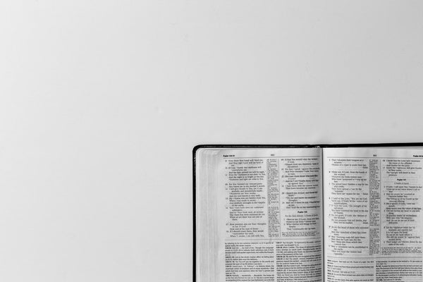 Afraid of the Gospel (5)