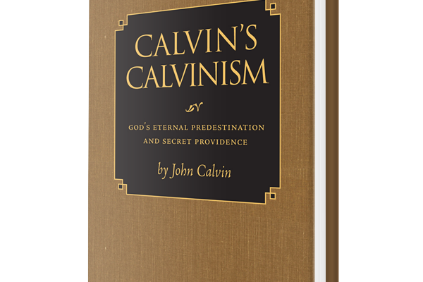 John Calvin, Predestination, and Means
