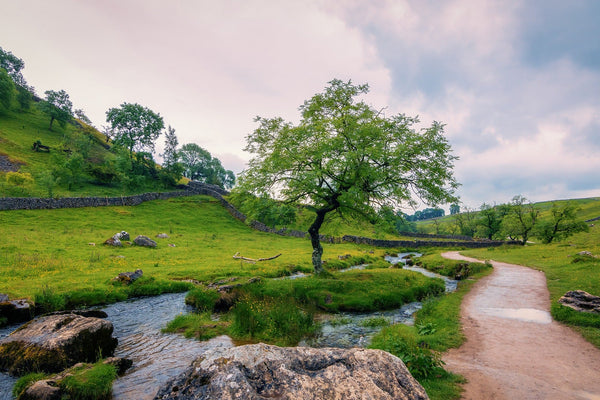 Depravity and Regeneration (9): The Nature of Good Works