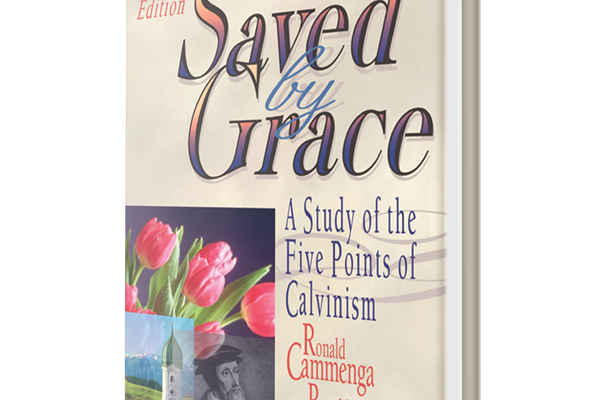 Irresistible Grace