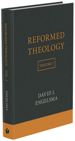 Reformed Theology, Vol. 1