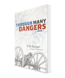 Through Many Dangers: A Civil War Story