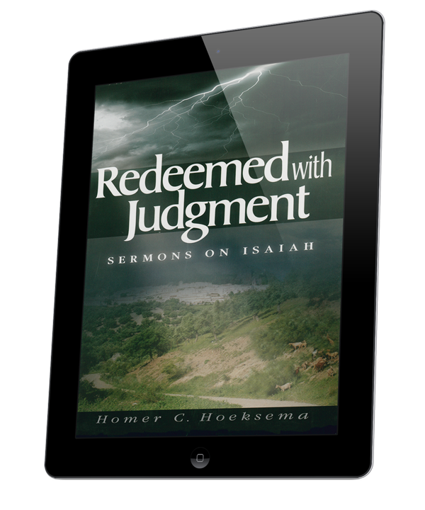 Redeemed with Judgment - volume 1 (eBook)