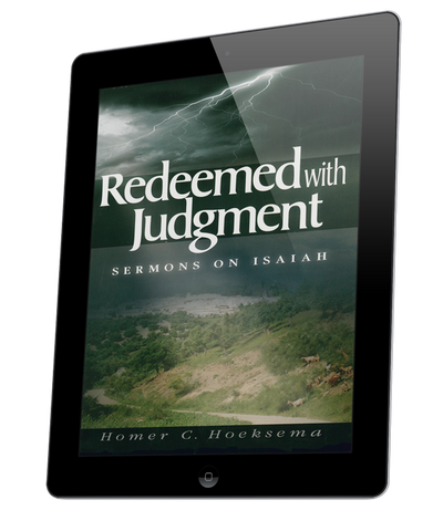 Redeemed with Judgment - volume 2 (eBook)