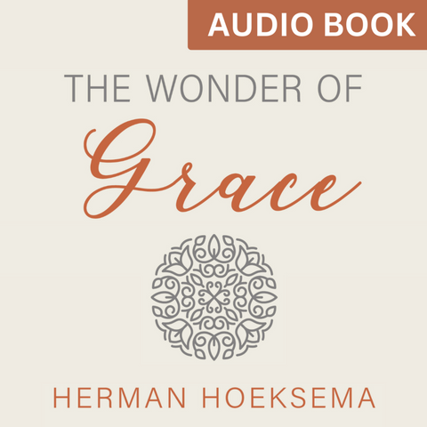 Wonder of Grace (audiobook)