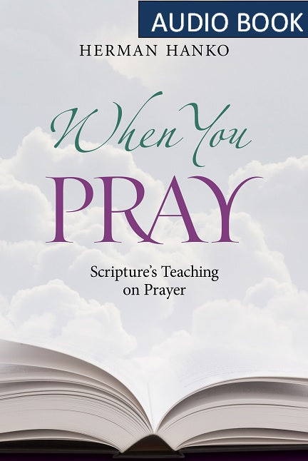 When You Pray (audiobook)