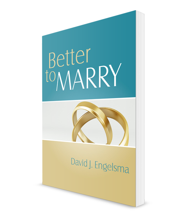 Better to Marry, Sex and Marriage in 1 Corinthians 6 and 7