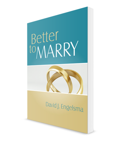 Better to Marry, Sex and Marriage in 1 Corinthians 6 and 7