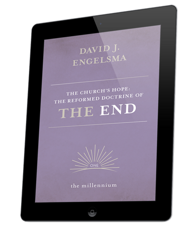 Church's Hope: The Reformed Doctrine of the End - Vol. 1, The Millennium (eBook)