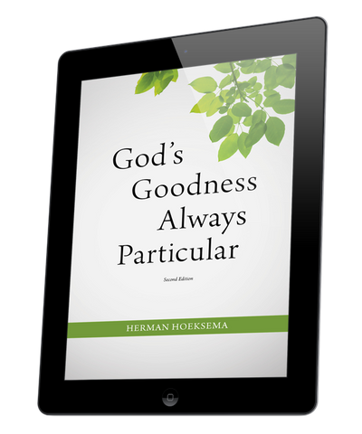 God's Goodness Always Particular