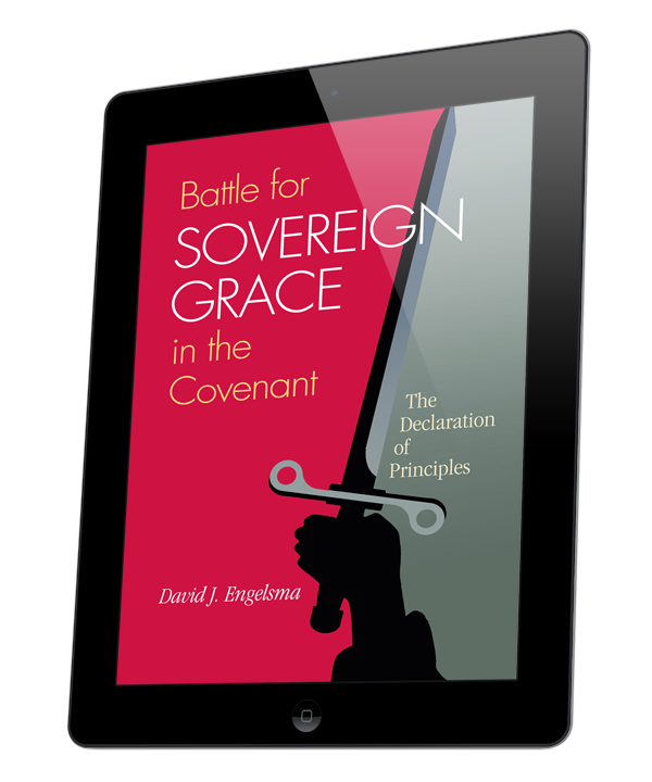 Battle for Sovereign Grace in the Covenant: The Declaration of Principles (ebook)