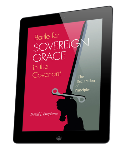 Battle for Sovereign Grace in the Covenant: The Declaration of Principles (ebook)