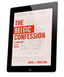 The Belgic Confession: A Commentary (volume 1) - ebook