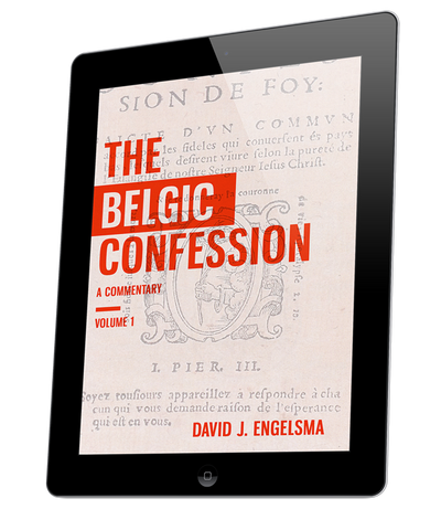 The Belgic Confession: A Commentary (volume 1) - ebook