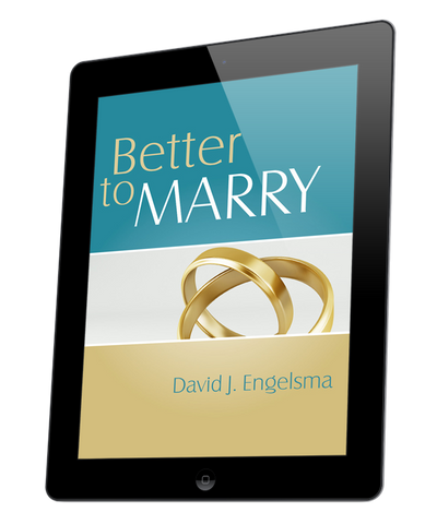 Better to Marry, Sex and Marriage in 1 Corinthians 6 and 7 (ebook)