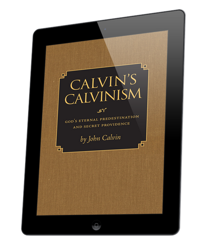 Calvin's Calvinism (ebook)