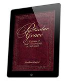 Particular Grace (eBook)