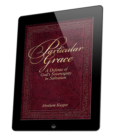 Particular Grace (eBook)