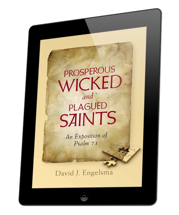 Prosperous Wicked and Plagued Saints (eBook)