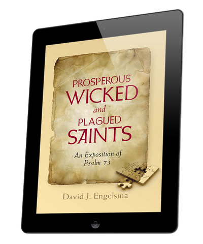 Prosperous Wicked and Plagued Saints (eBook)