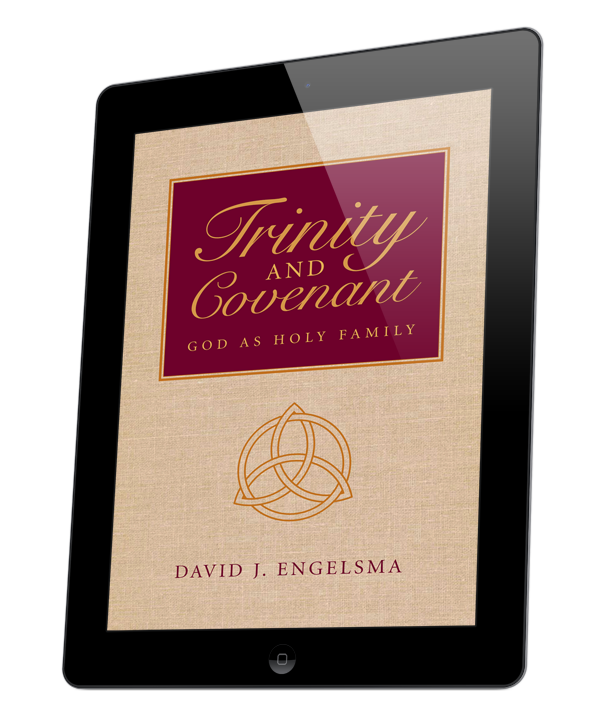Trinity and Covenant (ebook)