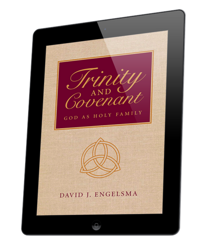 Trinity and Covenant (eBook)