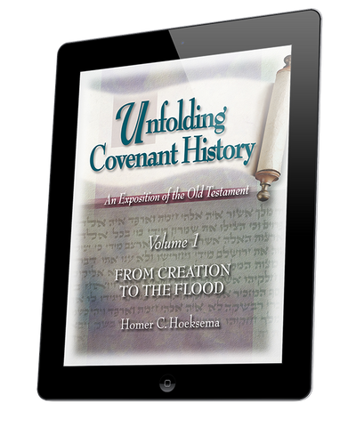 Unfolding Covenant History: Vol. 1, From Creation to the Flood (eBook)